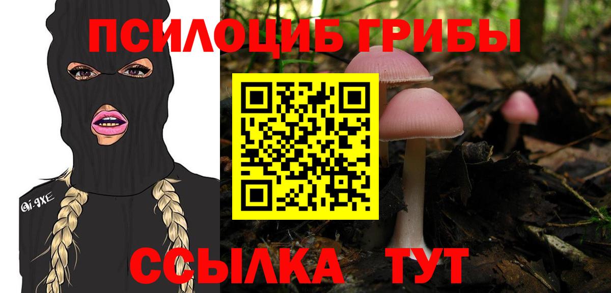 Псилоцибиновые грибы Cubensis  купить наркоту  Арсеньев  Вход с VPN 
